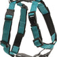 PetSafe 3 in 1 Dog Harness - No Pull Solution for Dogs - Reflective Dog Harness - Front D-Ring Clip Helps Stop Pulling - Comfortable Padded Straps - Top Handle Enhances Control - Teal - Extra Small