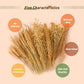 ZIPPYPET Hamster Sprays and Forage Accessories for Cages, Pet Mouse Decor Textures (5)