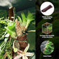 REPTIZOO 67 Gallon Large Reptile Terrarium 24"x18"x 36" Glass Paludarium Tank, Tall Reptile Enclosure Habitat with 10” Deep Base, Siphon Gravel Cleaner Set and Plants Growing Cotton Mat Included