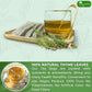 TOG999, Premium 120 Thyme Leaf Tea Bags, 100% Natural & Pure Thyme Leaves. Loose Leaf Thyme Herbal Tea. Thyme Leaf Tea. No Sugar, No Caffeine, No Gluten, Vegan.