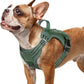 rabbitgoo Dog Harness Small Sized No Pull, Tactical Service Pet Vest with Molle and Control Handle, Adjustable and Reflective Military Harness for Easy Walking and Training, Green, S