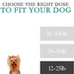 Anti-Motion Sickness and Nausea Relief for Small Breed Dogs, Relief for Disorientation and Dizziness, 10 Tablets