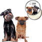 The Blissful Dog Brussels Griffon Unscented Nose Butter, 16oz