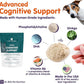 Dr. Bill’s Canine Cognitive Support | Memory Support Supplement Multivitamin for Dogs | Contains Gingko Biloba, L-Carnosine, Vitamin B-12, L-Glutamine, L-Tyrosine, and DHA for Adult and Senior Dog