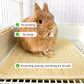 Oncpcare Rabbit Scratch Mat - Natural Bunny Scratching Pad for Claws and Teeth Care, Chew Toys, Pet Cage Bedding for Biting, Sleeping, Nesting - 24x16
