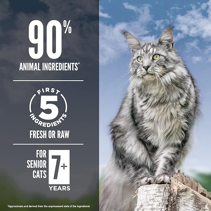 ORIJEN Guardian Senior Grain Free High Protein Premium Dry Cat Food 4lb Bag