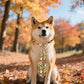 PET SHOW 10 Pack Fall Dog Ties Neckties for Large Medium Dogs Pumpkin Maple Leaf Adjustable Neck Ties Girl Boy Pets Autumn Costumes Dog Holiday Grooming Accessories Wedding Party Gift Favor