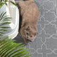 Yimobra Cat Litter Mat, 35.4"x23.6" Litter Box Mat with Litter Lock Mesh, Soft Cat Litter Mat Litter Trapping Mat, Easy to Clean, Non-Slip, Water Resistant, Litter Free Floors, Dark Grey