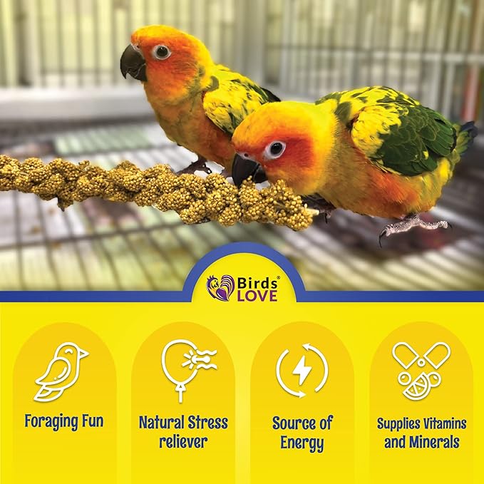Birds LOVE Spray Millet – 9 oz GMO-Free, No Stems (Only Edible Tops) – Healthy Treat for Parakeets, Cockatiels, Finches, Canaries & Lovebirds