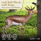 UMAID Himalayan Salt Lick 6 lbs On Rope for Horse, Deer, Goat, and Livestock Animals - Himalayan Salt Block 1 Pack