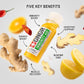 '+GNGR Immunity Aid Organic Ginger and Lemon Shot - Cold Pressed Ginger Shots with Echinacea, Lemon Juice, Honey, Zinc & Vitamin D3, Immune & Digestive Support (2 Oz, Pack of 12)