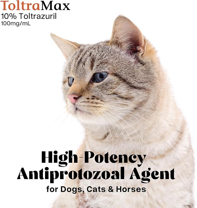 Toltrazuril 10.0% for Horses, Dogs, Cats, 500mL/16.9 Ounce, for Non-Food Chain Animals