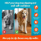 Anti-Slip Paw Grips – Non-Slip Dog Paw Traction Pads for Senior & Injured Dogs, Prevents Slipping on Hardwood & Tile Floors, Strong Adhesive, 24 Pcs (Sizes S-XXL)