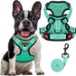 MIDOG No-Pull Dog Harness | Adjustable & Reflective Pet Harness Leash Set for Small Medium Large Dogs Walking, Training| No Choke, Front Clip, Soft Padded Vest with Easy Control Handle - Green, M