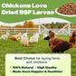 10LB Dried Black Soldier Fly Larvae, 86X Calcium Than Dried Mealworms, High Protein Non-GMO Organic Chicken Feed