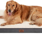 Bedsure XL Dog Beds Large Sized Dog -Orthopedic Flat Extra Large Pet Beds with Removable Washable Cover, Egg Crate Foam Mat, Suitable for Pet Up to 100 lbs