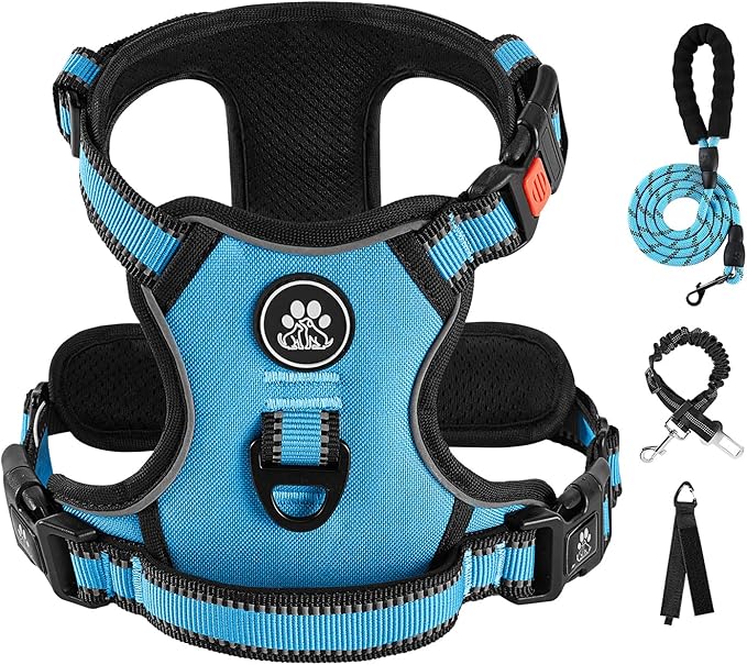 IVY&LANE No Pull Dog Harness for Small Dogs, Dog Vest Harness with Leash, Safety Belt and Storage Strap, Fully Adjustable Harness, 360° Reflective Strip, Soft Handle (Blue, S)