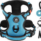 IVY&LANE No Pull Dog Harness for Large Dogs, Dog Vest Harness with Leash, Safety Belt and Storage Strap, Fully Adjustable Harness, 360° Reflective Strip, Soft Handle (Blue,XL)