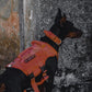 OneTigris - Tactical Dog Harness No Pull for Medium Dogs, Breathable Mesh Design, Service Dog Vest with Handle and Molle Bags, Adjustable Suit for Walking Hiking