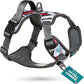 Embark Adventure Dog Harness, Reflective Trim No Pull Dog Harnesses for Small Sized Dogs - Military Grade Nylon, Front Clip with Gel Lined Handle.