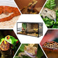 REPTIZOO 88 Gallon Large Reptile Terrarium 48" x 18" x 24" Knock-Down Glass Reptile Tank with Double Hinge Door & Screen Ventilation, Supporting Used as 2 Separate Habitats Easy Assembly
