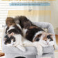 14in Cat Tree Tower with 20 * 16.5in Perch Bed and Washable Top for Large Adult Cats, Condo and Scratching Post for Indoor Kitten Pet, Light Gray