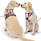 NESTROAD No Pull Dog Harness,Adjustable Oxford Dog Vest Harness with Leash,Reflective No-Choke Pet Harness with Easy Control Soft Handle for Small Dogs(X-Small,Pink)