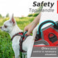 Eagloo Small Dog Harness No Pull, Service Vest with Reflective Strips and Control Handle, Adjustable and Comfortable for Easy Walking, No Choke Pet Harness with 2 Metal Rings, Red, XS