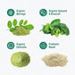 Supergreens Superfood Drink Mix with Chlorella, Moringa, Spinach, Broccoli, Digestive Enzymes, and Probiotics – Apple Pear Flavor, 20 Servings, Travel Pack