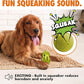 Max Fusion with Nike Grind, Dog Chew Toy, Arlee Weeble Treat Dispensing Toy for Dogs, Durable & Interactive for Pets, M