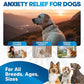 Dog Anxiety Relief - Faster Absorption Than Hemp Calming Chews for Dogs - Dog Calming Chews Alternative - Hemp Oil and Melatonin for Dogs - Liquid Dog Calming Treats for Thunder, Fireworks, Sleep Aid