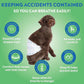 Out! PetCare Disposable Male Dog Wraps, Puppy Pee Wraps, Belly Bands for Dogs, Leak Proof, Wetness Indicator, Puppy and Doggie Diaper for Peeing, XS/Small, 96 Count