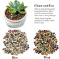 2 lbs Mix Horticultural Succulent Soil,1/4 Inch Pumice Gravel. Decorative Pebbles Lava Rock for Cactus, Bonsai, Orchid, Indoor Plants of Drainage, Ventilation and Root Growth