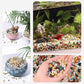 Mixed Crushed Crystal Chips Bulk 1lb 1200+Pcs Assorted Tumbled Stone Chips Natural Polished Mixed Chakra Aquarium Gravel Rocks for Plants Terrarium Supplies Fish Tank Gravel Pebbles Vase Filler