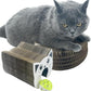 Interactive Scratching Board for Playful Kitties Magic Accordion Cat Scratching Post, Fun Cat Toys for Indoor Cats 1Pack