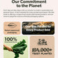 Plant Meal Replacement Shake - Vanilla - 25g of Plant Based Vegan Protein Powder, 76+ Organic Superfoods, Vitamins & Minerals, Mushrooms, Super Greens, Digestive Enzymes & Probiotics - 15 Servings