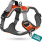 Embark Adventure Dog Harness, Reflective Trim No Pull Dog Harnesses for Small Sized Dogs - Military Grade Nylon, Front Clip with Gel Lined Handle.