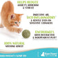 Raw Paws Catnip Balls for Cats, (6-Count) - Interactive Cat Toy for Indoor Cats - Cat Nip Licking Balls