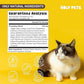 Cough Medicine for Dogs & Cats, Respiratory Infection Support - Sneezing Relief & Kennel Cough Treatment - Pet Asthma Support - Made with Natural Ingredients in The USA