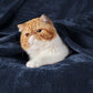 Bedsure Navy Blue Fleece Blankets King Size - Bed Blanket Soft Lightweight Plush Cozy Fuzzy Luxury Microfiber, 108x90 inches