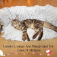 XxingSheep Extra Large Cat Tunnel Bed for Indoor Cats Peekaboo Cat Cave Donut with Center Mat