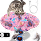 Mity Rain Interactive Cat Toy - Ball for Indoor Jumping and Rolling in Pouch, Hide and Seek Mat for Self Play, Boredom Relief and Activating Natural Hunting Instincts - Kitten Toys