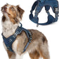 rabbitgoo Dog Harness No Pull, Military Dog Harness Medium Sized Dog with Handle & Molle, Easy Control Service Dog Vest Harness Training Walking, Adjustable Reflective Tactical Pet Harness, Blue, M