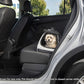 Sherpa Forma Frame Crash-Tested Travel Pet Carrier, Airline Approved & Guaranteed On Board - Black, Medium