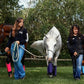 Warrior Fly Boots for Horses - Breathable Mesh Horse Boots for Fly Protection & Leg Comfort - Set of 4 (Knight Warrior, Neon Orange)