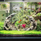 Novelsite Fish Tank Decor- Jagged Canyon Rock Formation ，Made of Solid Sandstone，Suitable for a Variety of Fish Tank Scenes, DIY Planting Moss, Safe and Non-Toxic