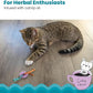 Catstages Kitty Chew Wheel, Dental Cat Toy with Catnip Oil, Teeth Cleaning, Healthy Chewing, Boredom Relief, Kicking & Batting for Kittens and Adult Cats, Purple