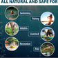 Airmax Black DyeMond Pond Dye 4X Concentrate for Outdoor Ponds & Lakes, Natural Pond Colorant & Beauty Enhancer, Block Ultraviolet Rays, Fish, Bird & Livestock Safe, Easy Liquid Application, 1 Quart