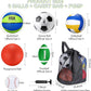 Realspring 6 Pcs Multi Sport Ball Set for Kid Teen Operation Christmas Official Size Football, Basketball, Soccer, Volleyball, Playground Ball, Baseball with Sports Equipment Bag Pump