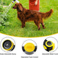 Dog Washing Hose Attachment, 10-in-1 Soap Sprayer Moden Garden Hose Nozzle with 100cc Soap Dispenser, Dog Wash Supplies with Dog Bath Brush & Pet Comb, Foam Gun Car Wash Sprayer (Yellow)